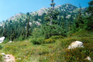 At Rainbow Lake, view of some of the surrounding mountains and meadows, Rainbow Lake 1998-08.